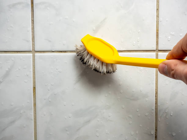 Best Preventive Mold Services in Bothell, WA