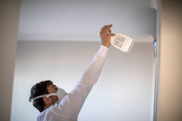Best Health and Safety Mold Remediation in Bothell, WA